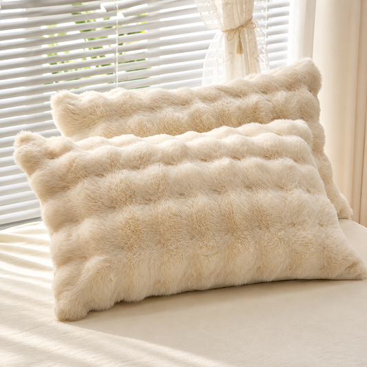 2 Super Soft Pillowcases